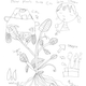Illustration for article titled Kids Art Thread / Vol. Its Been A While